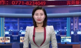 新闻爆料 宾阳吧,揭秘当地新闻热点，聚焦民生关注焦点